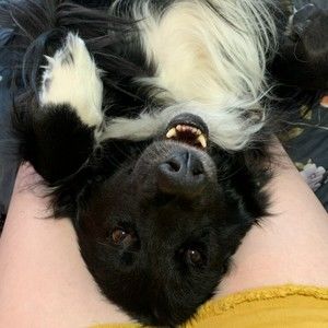 Meet your Posher, Kirsten